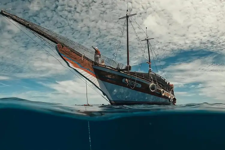 Barco Baia dos Golfinhos