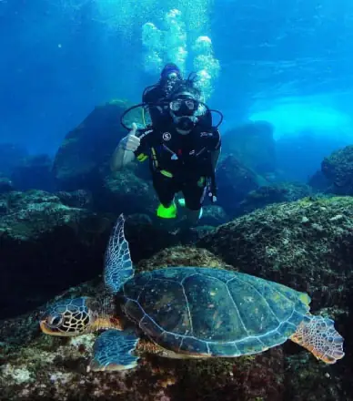 Mergulho Embarcado Credenciado