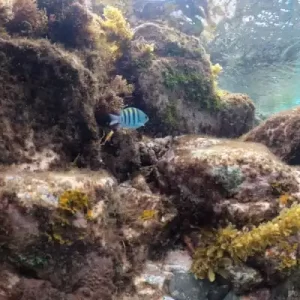 Trilhas-Morro São José